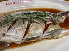 -丹江渔村(望京店)