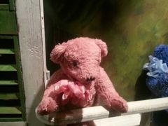 -济州岛泰迪熊博物馆