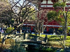 -浅草寺