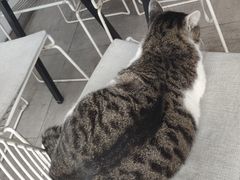 -UNI UNI(环亚凯瑟琳店)