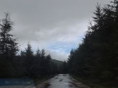 -百里天路