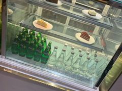 -飞行喵MR PILOT|猫舍·猫咖(静安大融城店)