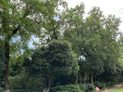 -上海市保健医疗中心