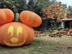 -HERRE·FARM 赫尔露营农场·团建聚会包场