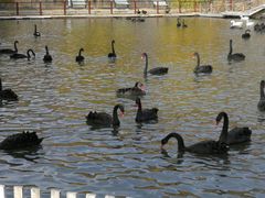 -新疆天山野生动物园