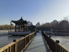 -莲花池公园