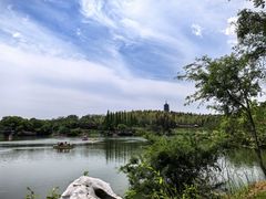 -宜兴龙背山森林公园