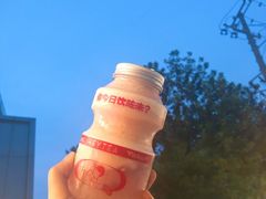 -喜茶(上海打浦桥日月光gelato lab+店)