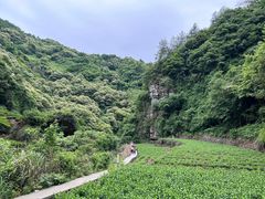 -十九峰景区-倒脱靴