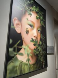 -大树儿童摄影