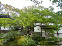 -常寂光寺