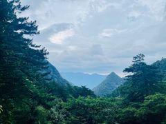 -黄山风景区