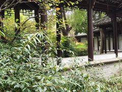 -梅园