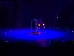 -珠海横琴长隆《卡卡虎奇遇记》