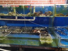 水产区-海帮主·蒸汽海鲜青岛菜(栈桥火车站店)
