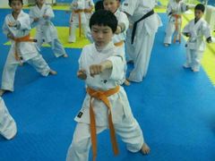 -极真空手道修远道场