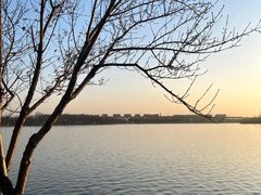 -丁香湖公园