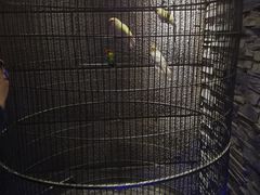 -汕头金海湾大酒店(万象城店)