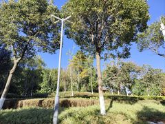 -滇池海埂公园
