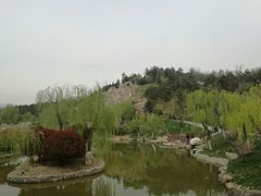 -鹦鹉寺公园