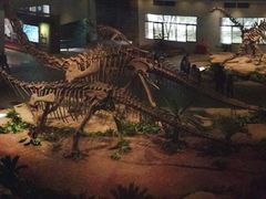 -自贡恐龙博物馆