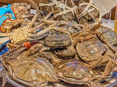 -半岛听涛蒸汽海鲜自助(K11店)