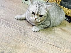-小时光咖啡馆(开森度假森林店)