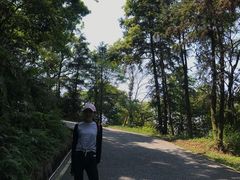 -广州市帽峰山景区
