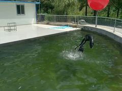-日照海滨国家森林公园