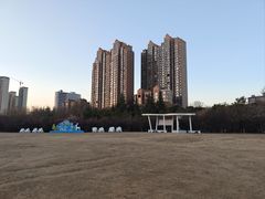 -沙澧河风景区