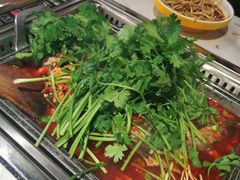 -黑猫馋纸包鱼(阳光店)