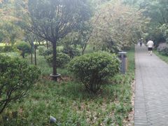 -唐城墙遗址公园