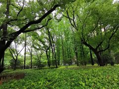 -徐家汇源景区-衡山公园