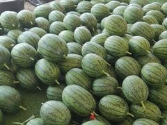 -庞各庄翠芳园西瓜蔬菜基地采摘园