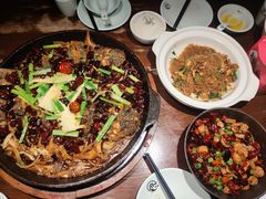 -老板恋上鱼(高新万达店)