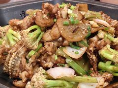 -老佛爷正宗铜炉蛙锅(五道口店)