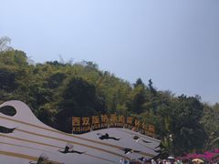 -西双版纳原始森林公园