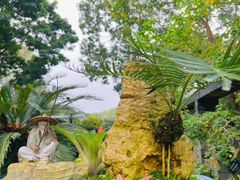 -深圳仙湖植物园