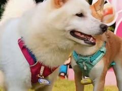 -上海神旺大酒店