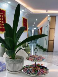 点击看大图 -痘庄科学祛痘国际连锁