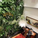 穿越时空的午餐