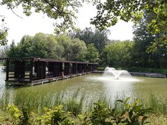 -翠湖国家城市湿地公园