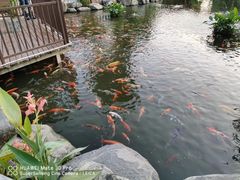 -大门水乡·顺德菜