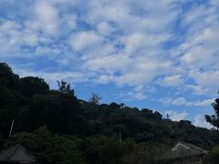 -鼎湖山风景区
