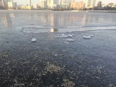 -迎泽公园