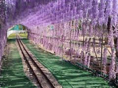 -长洲岛都市农业公园
