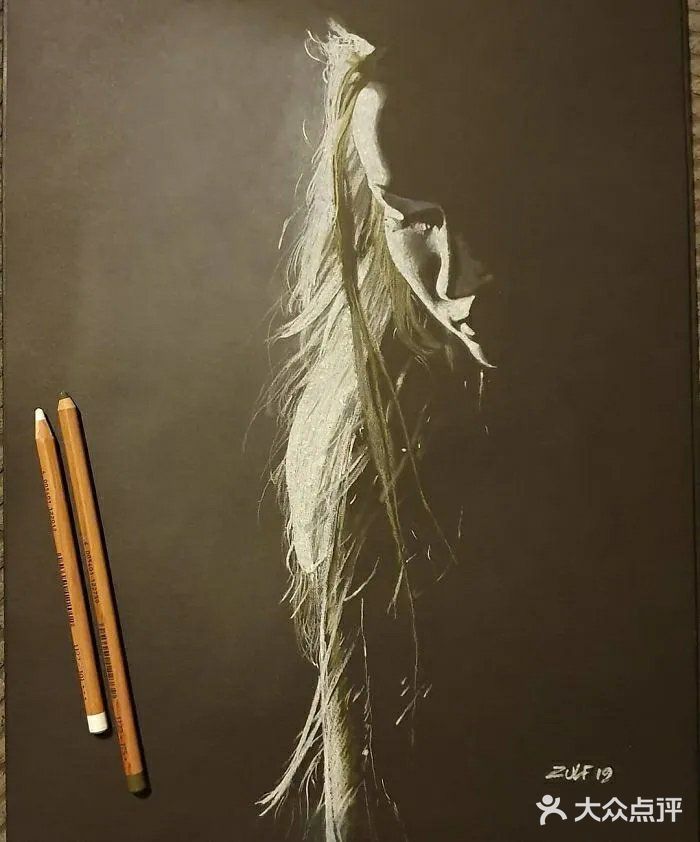 犹抱琵琶半遮面，这样的素描画太酷了，仿佛会发光 。[加油]