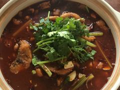 红焖黄河鲤鱼-白氏鲶鱼汤(白亮1号店)
