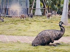 -灵玲国际马戏城