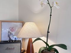 -本無咖啡·BeanWood Coffee